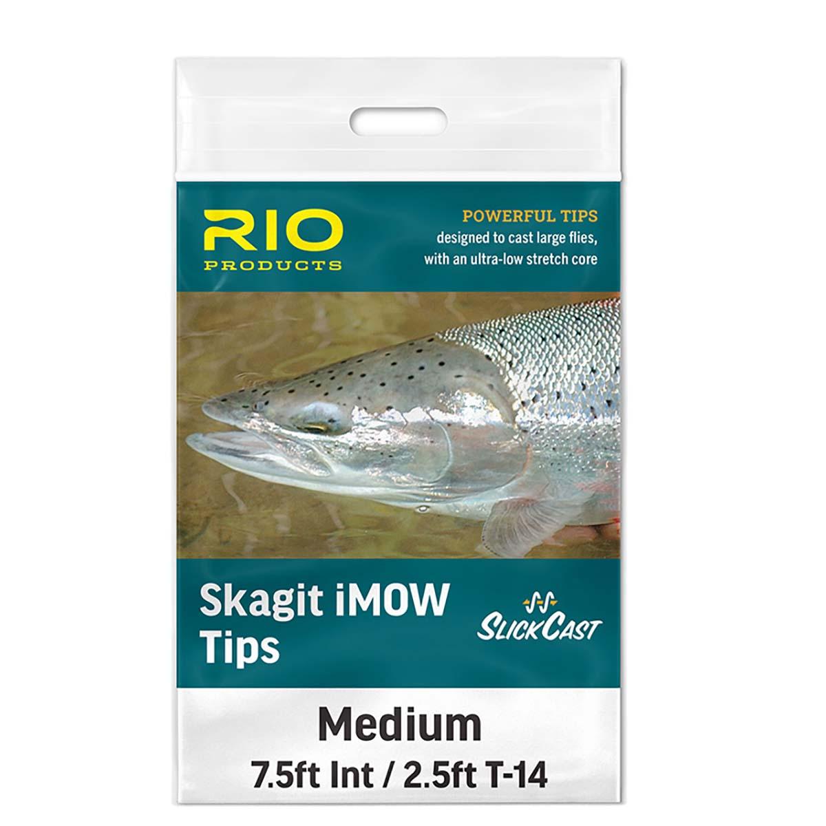 Rio Skagit iMow Light Tip